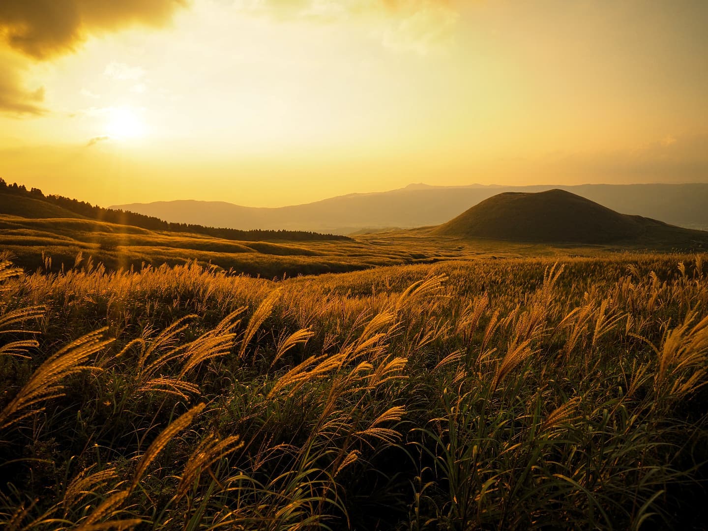 またこの風景が見れる季節阿蘇から黒川温泉までは約1時間黄金色に輝くすすきの風景は、日本経済新聞NIKKEIプラス1（2018年10月13日付）で、阿蘇が「ススキの名所ランキング」の1位に選ばれました。世界有数のカルデラを持つ阿蘇には2万ヘクタール以上の広大な草原が広がっており、秋になるとその大草原一面がススキ野原に。写真は、#阿蘇パノラマライン　からの米塚の風景。風にそよぐススキと　#米塚　当館の夕食時間は■18:00~■18:30~お部屋食となります。■温泉街のお店が閉まるのは17-18:00頃■露天風呂めぐりは21:00まで(20:30最終受付)ご観光の目安にご参考までにPhoto:　@a.k.k.o.3310 若女将撮影↑若女将の撮影した風景写真はこちらからご覧いただけます️■■■■■■■■【投稿キャンペーン特典】■■■■■■■当館のアカウントをフォロー&お写真をご投稿いただいたお客様、また、お写真のご提供をいただいた方には、次回ご来館時に　#若女将特製梅酒　または、#若女将特製梅ジュース　をサービス致します。#和風旅館美里　のハッシュタグを付けてご投稿ください️または、当館でお写真を撮らせていただいたお客様にも特典がございます。ここでしか飲めない人気の美里オリジナルドリンクです。なお撮影させていただいたデータは差し上げておりますどしどしご投稿を宜しくお願いします‍♀️#熊本再発見の旅　はじまりました️#和風旅館美里#黒川温泉#観光地#熊本県#温泉#南小国町#美里オリジナル湯あかり#熊本再発見の旅#熊本観光#旅館#otonatabi_japan#tabiness#my_aso#visitjapan#onsenislandkyushu#rakutentravel#onsenislandkyushu#jalan_travel#joytb#kumamon_ken#びゅうたび#思いをつなぐフォト#風景写真#阿蘇#阿蘇ジオパーク#熊本グルメ