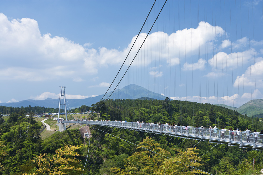 九重“夢”大吊橋