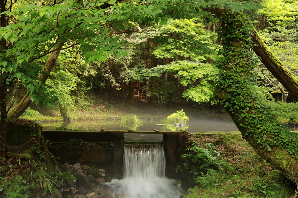 山吹水源