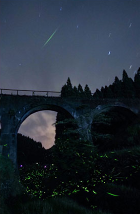 黒川温泉 ホタルが棲む夜の里山見学(無料)
